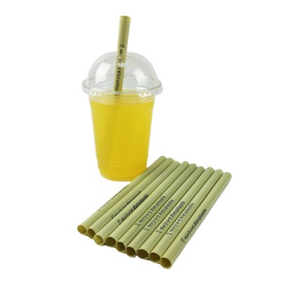 Pla Straw Straw Biodegradable Biodegradable PLA Straw